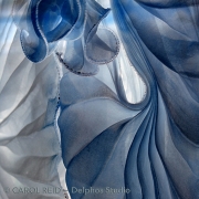 Blue Gathering