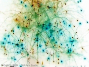 Connect the Dots