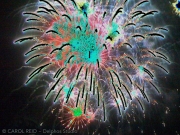 In the Beginning Dark Matter