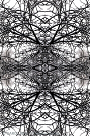Mandala In Snow 1a