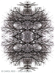 Mandala In Snow 2a