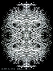 Mandala In Snow 2b