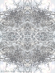 Mandala In Snow 3a