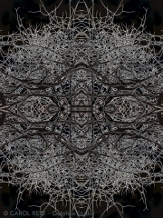 Mandala In Snow 3b