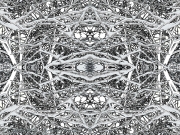 Mandala In Snow 4a