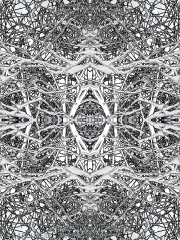 Mandala In Snow 5a