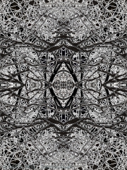 Mandala In Snow 5b