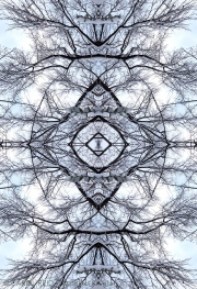 Mandala In Snow 7a