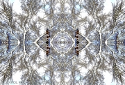 Mandala In Snow 7b