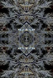 Mandala In Snow 7c