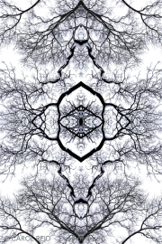 Meditation 3a