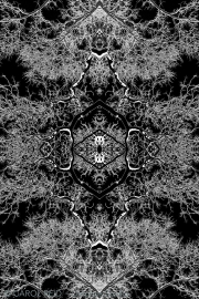 Meditation 3b