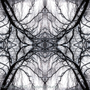 Meditation 5a