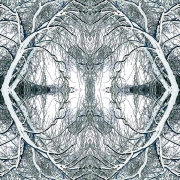 Meditation 6a