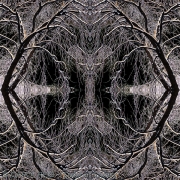 Meditation 6b