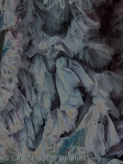 Moonlight Frills