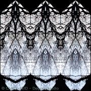 Three Buddhas Meditating