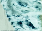 Who Has Seen the Wind 1a