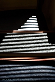 Zen Pathway
