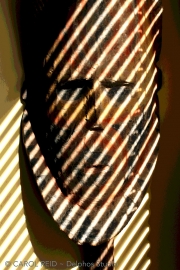 Shadowman 1
