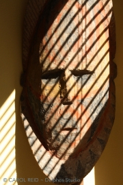 Shadowman 4