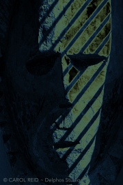 Shadowman 5