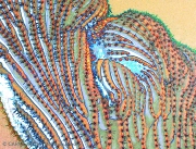 Sonoran Daydream