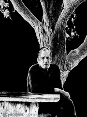 Old Man & the Tree