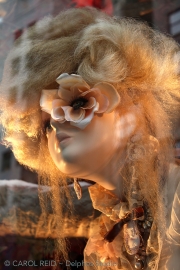 Rosebud Eye