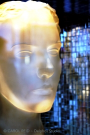 Venus Reflects