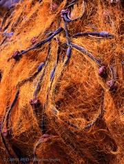 Grecian Nets 2