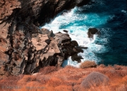 Land & Sea