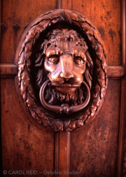 King Of Knockers