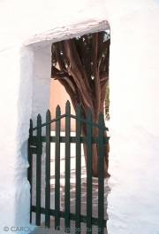 Tree Beyond the Gate