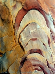 Petra Spinal Study