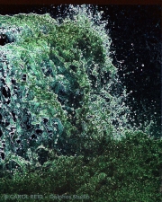 Splash