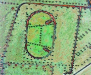 Fields Of Klee