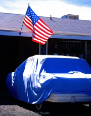 Belle Veiled